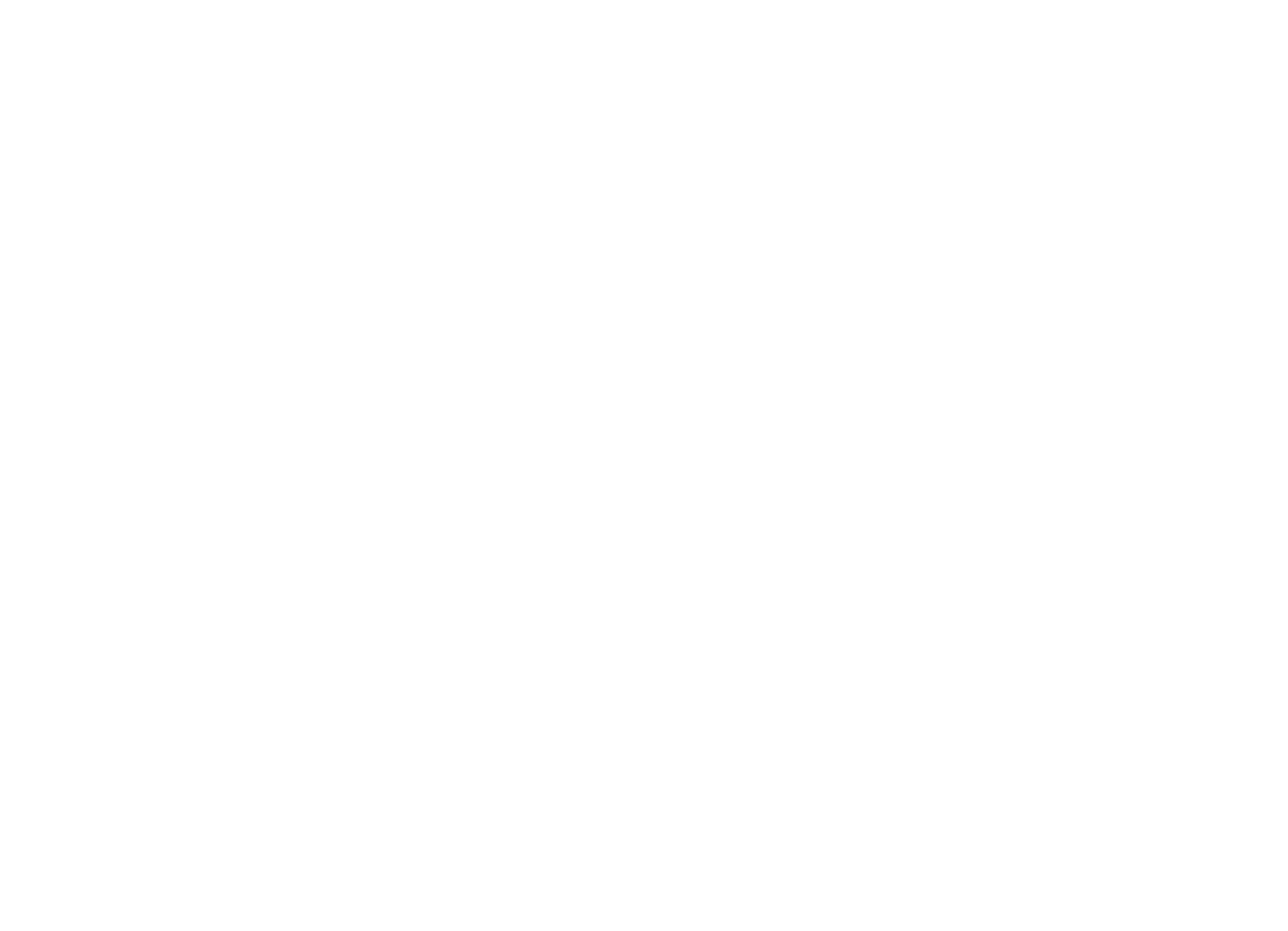 Southern Tech Pro